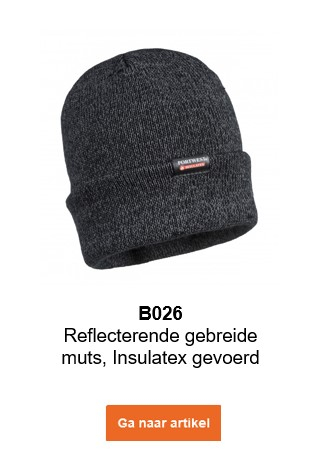 Met de B029 reflecterende gebreide muts met Insulatex voering in grijs met een link die naar het artikel leidt.